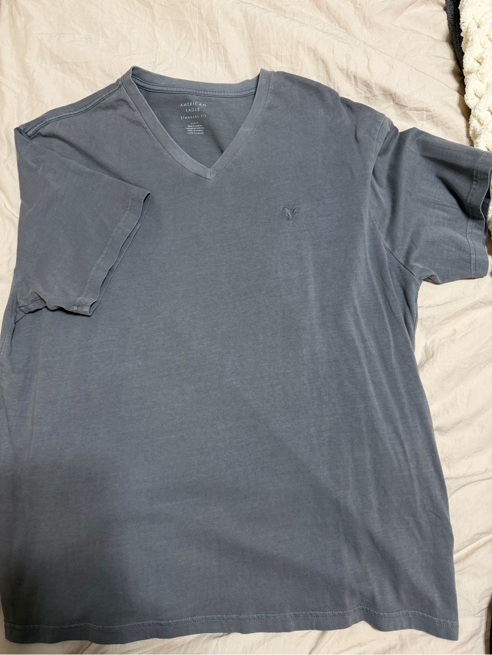 American Eagle Outfitters Men's V-Neck Tee in Gray